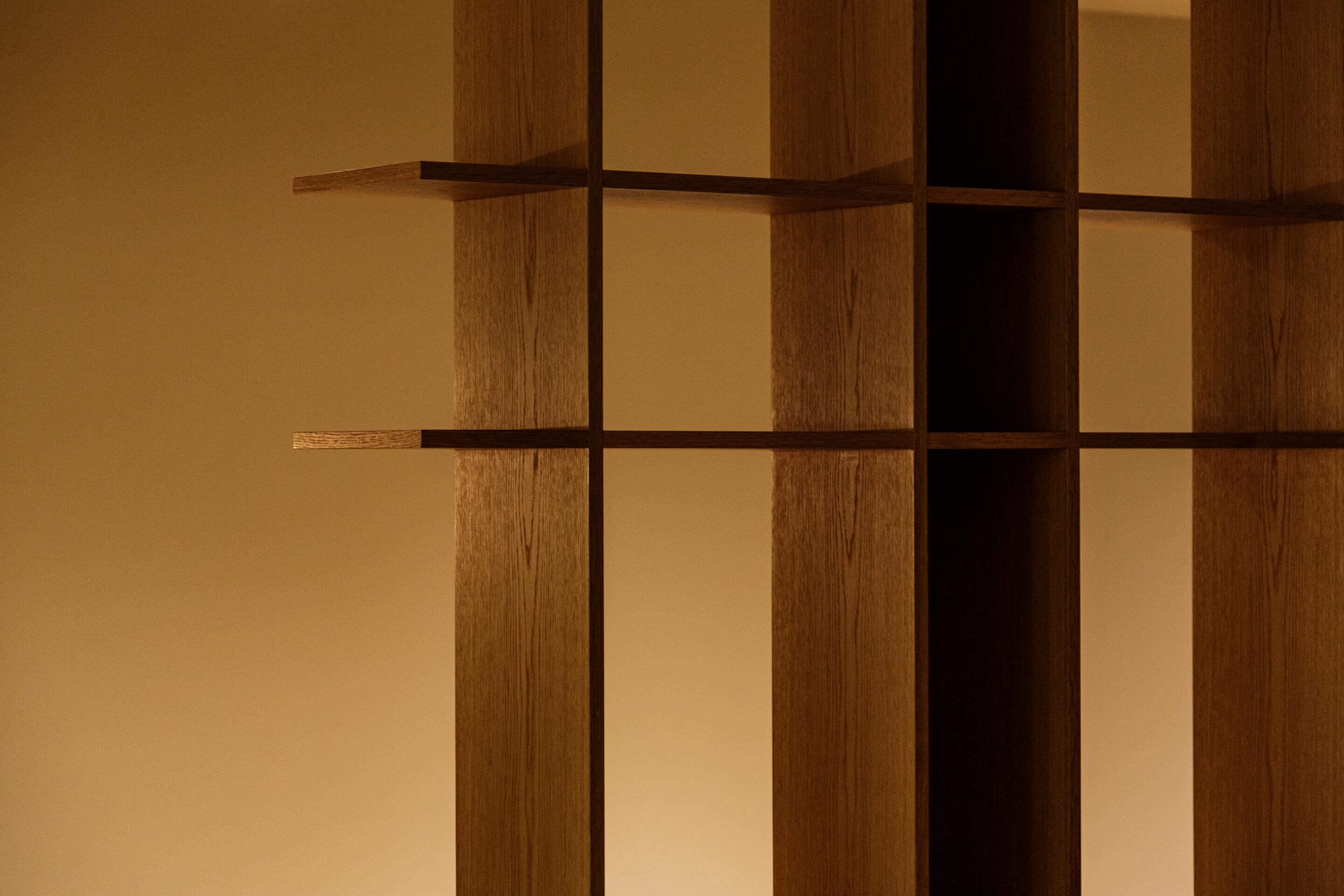 Vision Image 3